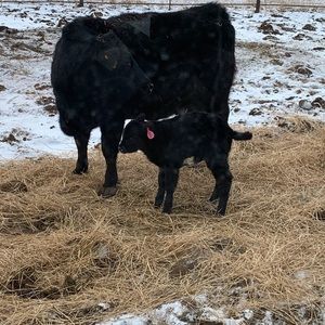 Meet your Posher, Seth